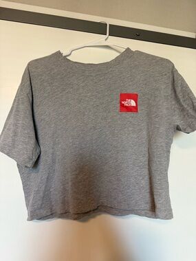 The North Face Light Gray Logo Tee with Black Print